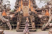 Ubud highlight best