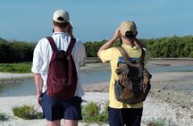Private Bird Watching Tour from Holbox