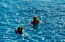 Full day Luxury Catamaran Turtle Snorkel and Beach Getaway