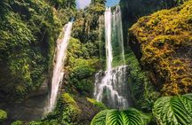 Bali Sekumpul with Fiji Waterfall & Bedugul Temple (Private Tour)