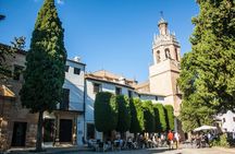 Half-Day Private Guided City Tour in Ronda
