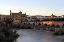 Cordoba and its Mosque Tour from Seville Full-Day Guided Tour