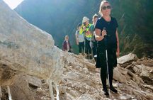Cerro de Sal Trekking