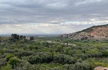 Private Day Trip of Ourika Valley & Atlas Mountains 