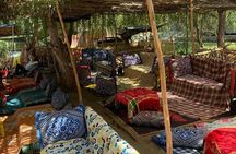 Private Day Trip of Ourika Valley & Atlas Mountains 