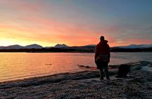 Tromsø: Easy Winter Kayaking Tour with Seal Watching