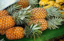 Private Customizable Grand Circle Island Tour on Oahu