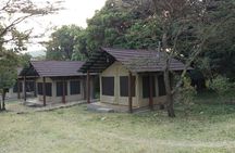 6 Days in Masai Mara Interactiv, Lake Nakuru and Amboseli 