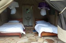 6 Days in Masai Mara Interactiv, Lake Nakuru and Amboseli 