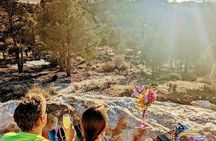 Big Bear Lake Jeep Tour