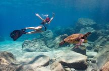 4 hour Private Custom Kayak Tour Lahaina