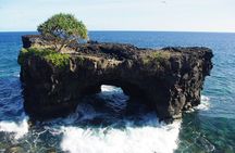 National Park Lava Cliffs and Black Sand Beach