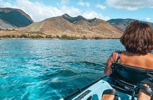 4 hour Private Custom Kayak Tour Lahaina