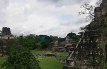 Tikal Day Adventure from San Ignacio (Lunch Included)