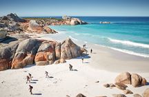 larapuna / Bay of Fires Hiking Tour - 4 Days