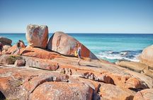 larapuna / Bay of Fires Hiking Tour - 4 Days