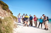 larapuna / Bay of Fires Hiking Tour - 4 Days