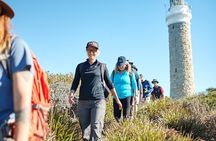 larapuna / Bay of Fires Hiking Tour - 4 Days