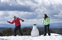 Full-Day Mount Buller Tour