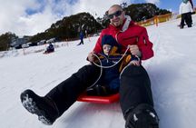 Full-Day Mount Buller Tour
