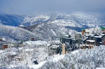 Full-Day Mount Buller Tour