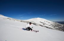 Full-Day Mount Buller Tour