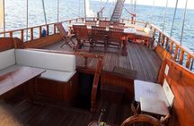 Private half day sailing yacht cruise