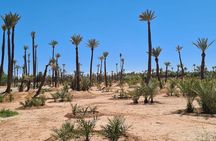 Private Marrakech Guided City Tour Half Day Marrakech sightseeing tour Guide.