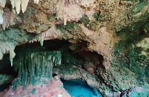Salaam Cave Tour; Jozani Forest; Kuza Cave; Paje Beach; The Rock 