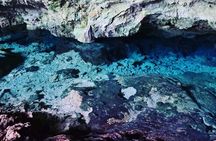 Kuza Cave Tour; Paje Beach; The Rock; Jozani Forest, Salaam Cave