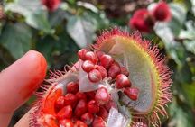 Spice Tour; Jozani Forest; Kuza Cave; Blue Lagoon; Starfish Adventure; The Rock