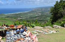 Barbados Shore Excursion: Bajan Highlights