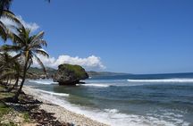 Barbados Shore Excursion: Bajan Highlights