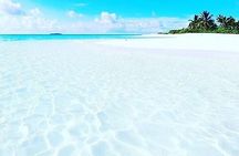Mnemba Dolphin Tour; Stone Town Tour with Lunch; Jozani Forest