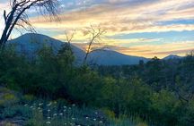 Guided Hiking Tour in Big Bear