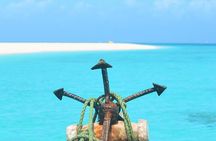 Zanzibar Blue Lagoon Tour and Sandbank Picnic Tour with Lunch