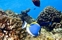 Snorkeling at Blue Lagoon; Starfish; The Rock Restaurant & Paje Beach