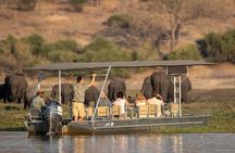 Chobe National Park Day Trip from Victoria Falls with Lunch