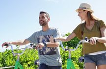 Miami Beach Art Deco & History Bike Tour with Design Enthusiast
