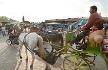 Full Day Guided Tour In Marrakech with Camel Ride from Casablanca