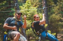 Zipline Tour with Train Ride