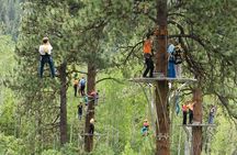 Zipline Tour with Train Ride