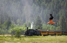 Zipline Tour with Train Ride