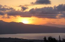 Predawn-Morning Haleakala Bike Tour 6,500 to Sea Level