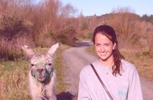  Llama Trek (Taster) - Kowhai River Valley and Native Woodland Tour