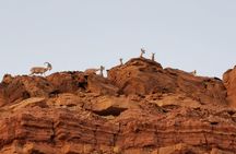 In Depth Introduction of the Ramon Crater
