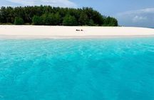 Zanzibar Full Day Dolphin Tour; Mnemba Island; Nungwi Beach & Kendwa Beach Tour