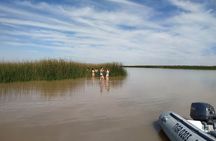 Half Day Private Safari Delta in Tigre