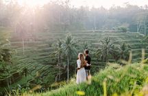 Private Tour: Waterfall, Kintamani Volcano, Ubud Tour with Lunch