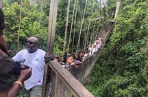 Slave Dungeons , Cape Coast , Elmina ,Canopy Walkway / Accra City Tour